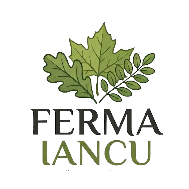 Ferma Iancu